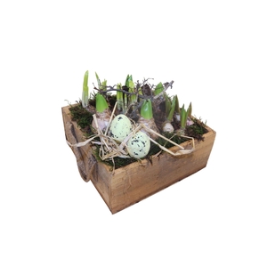 Arr.   Bol/Knolgewas L%