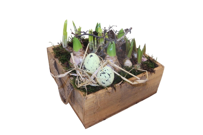 <h4>Arr. Bol/Knolgewas L%</h4>