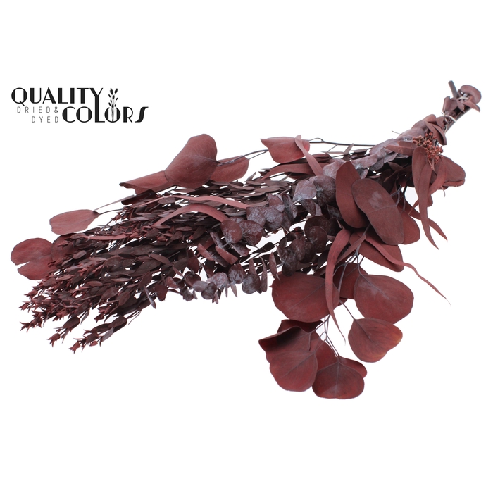 <h4>Eucalyptus Mix per bunch Preserved Red</h4>