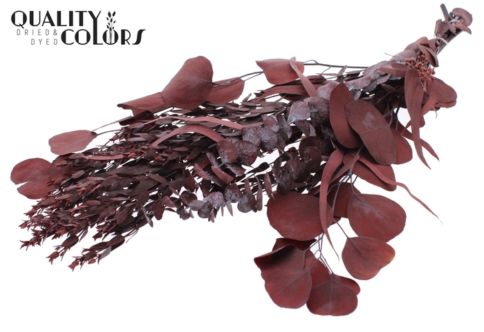 Eucalyptus Mix per bunch Preserved Red