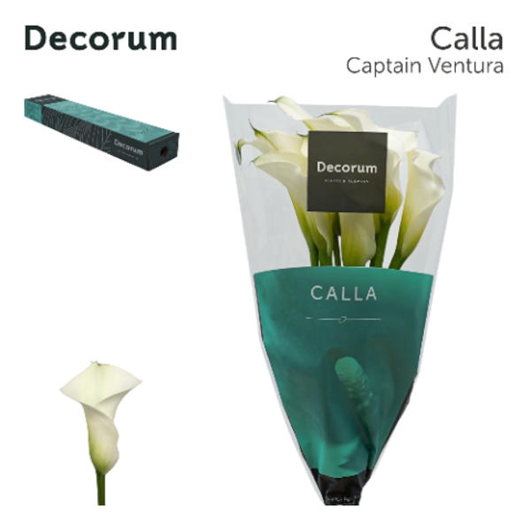 <h4>Calla Crystal Blush Box</h4>