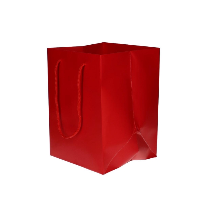 <h4>Olympic 25*18*18cm</h4>