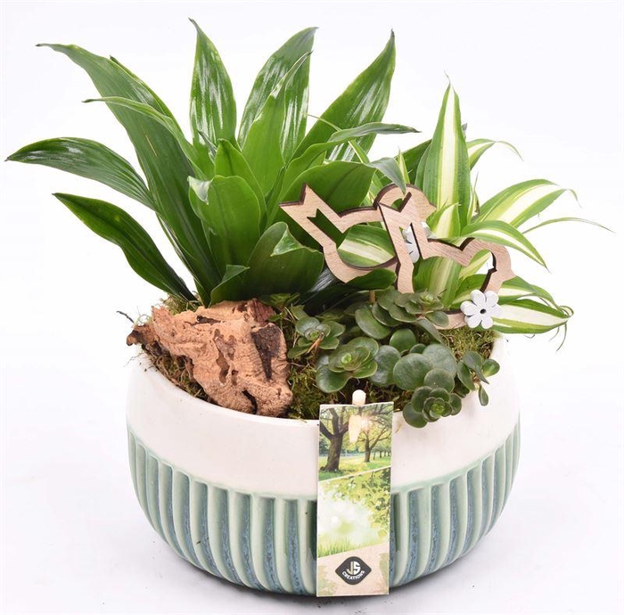 <h4>Keramiek schaal met strepen 18cm</h4>