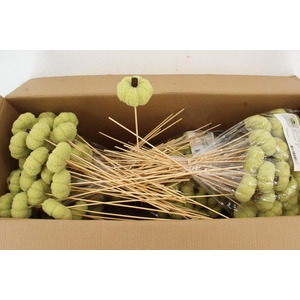 Stick Pumpkin Velvet 8cm Green