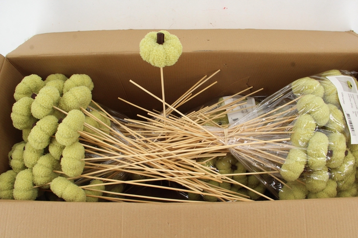 <h4>Stick Pumpkin Velvet 8cm Green</h4>