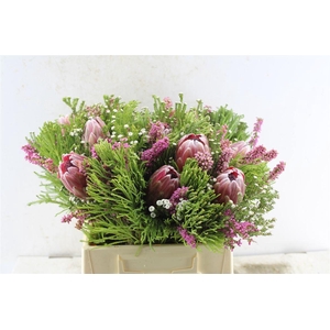 Protea Boeket