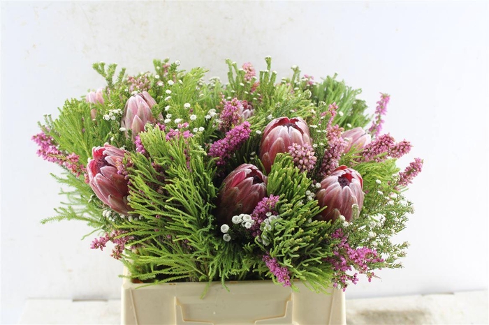 <h4>Protea Boeket</h4>