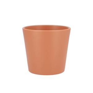Ceramic Toscane Pot Orchid 14cm Nm