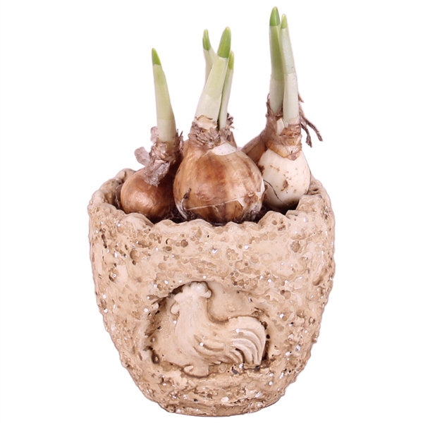 <h4>Easter Arr. Narcis Ceramic Lavastone Egg Chicken Relief Ø10cm</h4>