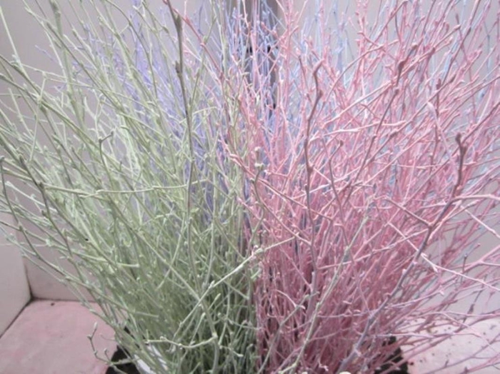 <h4>Berken Mix Pastel L70</h4>