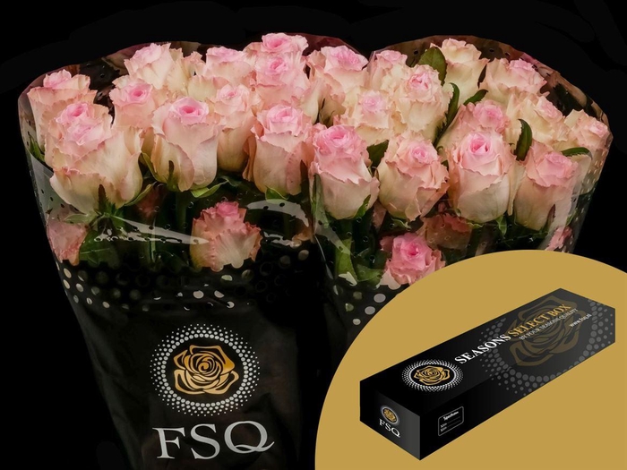 <h4>R GR Mandala Box</h4>