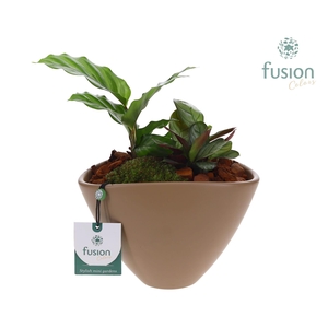 Pot keramiek ovaal Medium beige met Arrangement