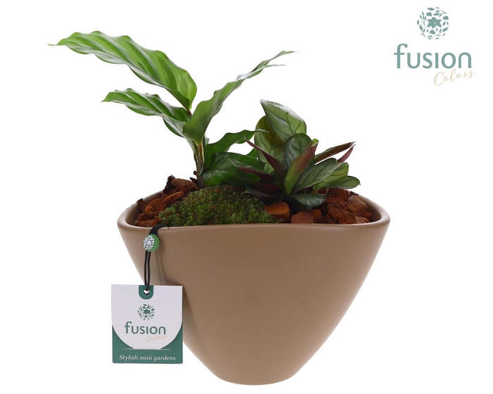 <h4>Pot keramiek ovaal Medium beige met Arrangement</h4>