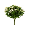 BOUVARDIA ELEGANCE DOUBLE BIANCA 040 CM