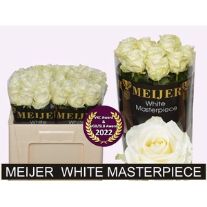 R Gr Avalanche White Masterpiece Meijer Super