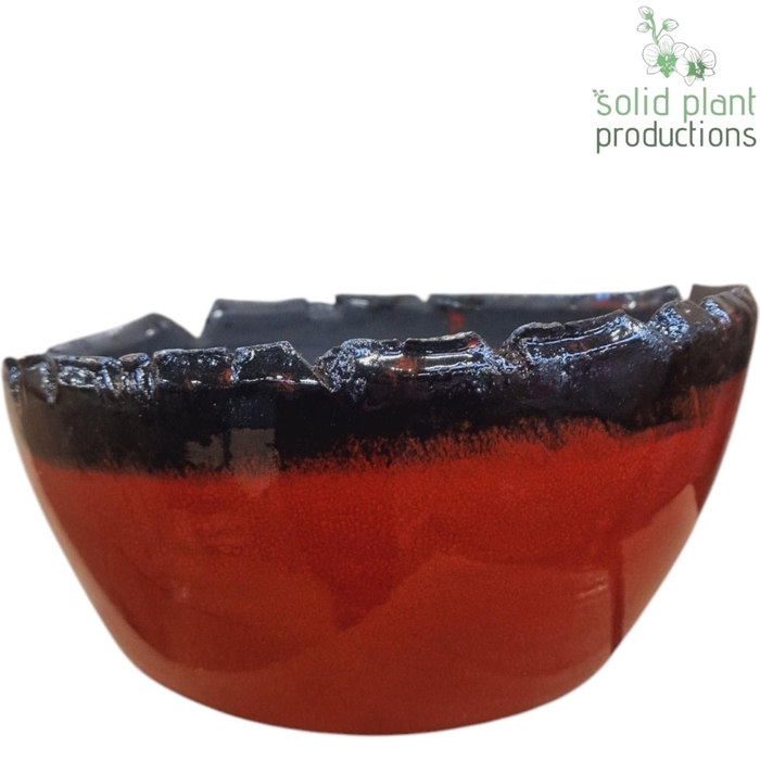 <h4>X OLIVIA RED BOWL</h4>