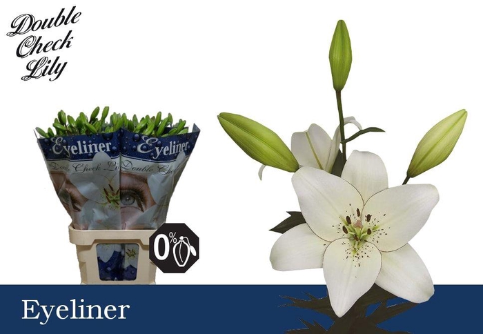 <h4>LI LA EYELINER 4+</h4>