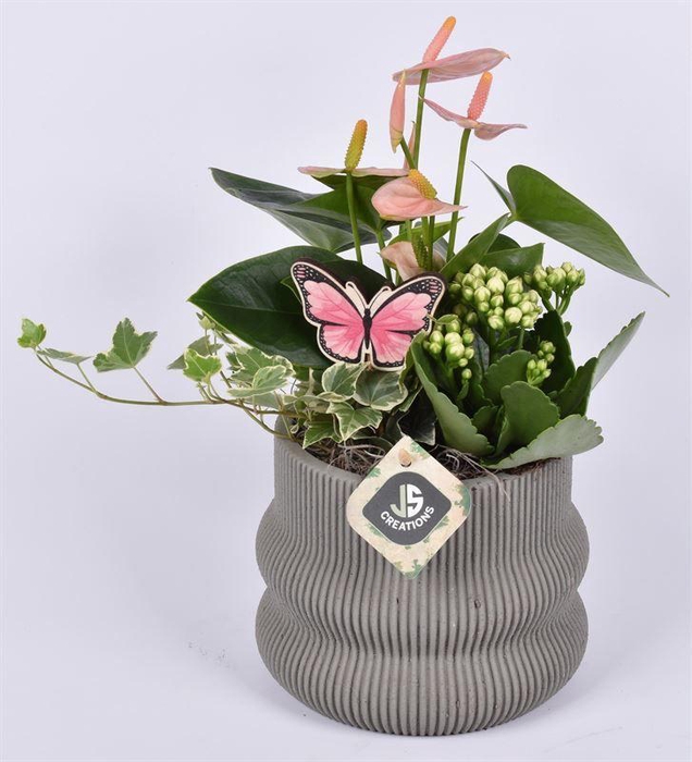 <h4>Cement ribbel pot 16cm</h4>