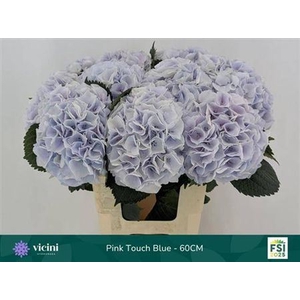 Hydr Cl My Bpinktouch Bl Pastel