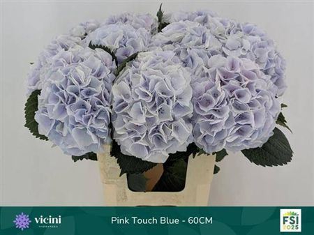 <h4>Hydr Cl My Bpinktouch Bl Pastel</h4>