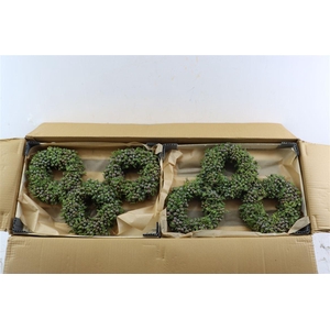 Wr Sierfruit Juniperus Blue 20cm