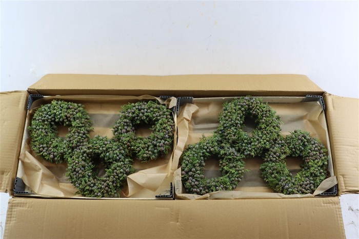 <h4>Wr Sierfruit Juniperus Blue 20cm</h4>