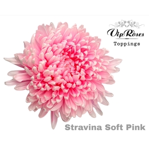 Chr G Stravina Soft Pink