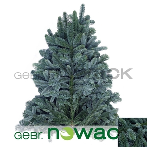 ABIES NOB BLAUW KILO