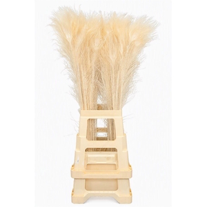 Feather Peacock Bleached 80-90cm