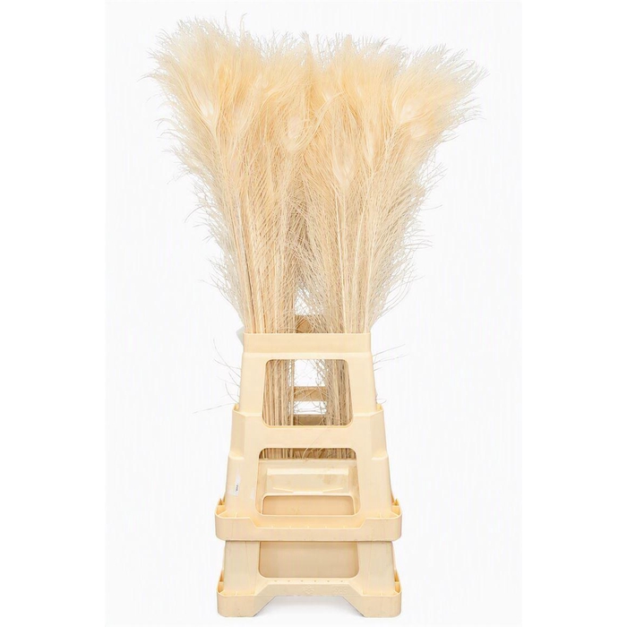 <h4>Feather Peacock Bleached 80-90cm</h4>