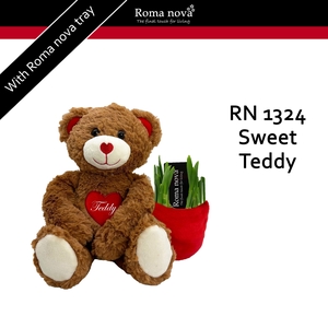 1324 - Sweet Teddy (Tete a Tete)