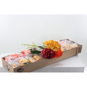 Hydr Autumn Mix Select Box