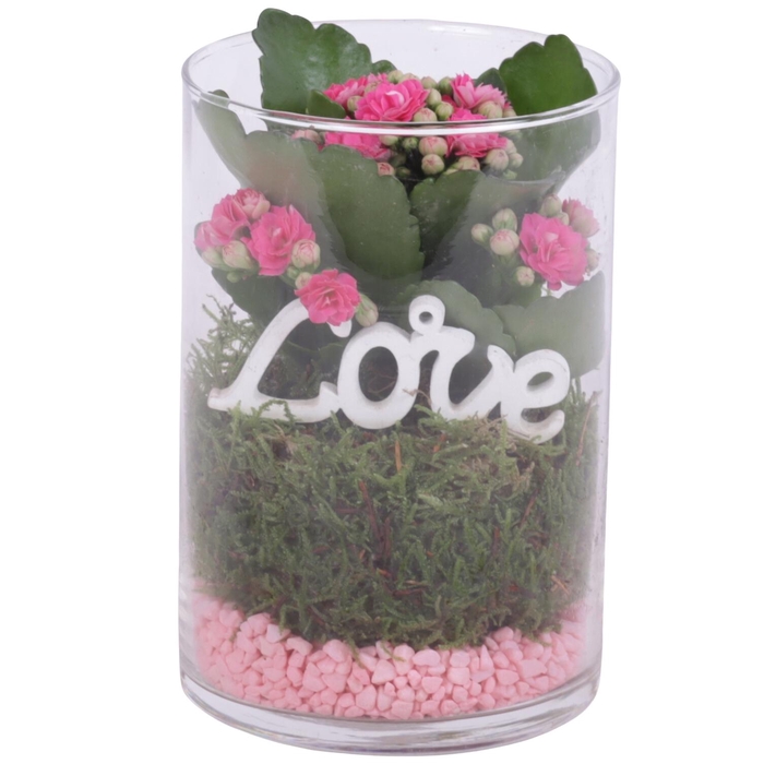 <h4>Womensday Arr. Indoor Glass Vase Cylinder Ø10cm 1PP</h4>