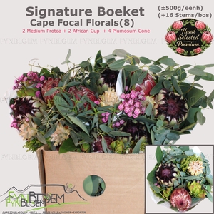 PROTEA PER BOS