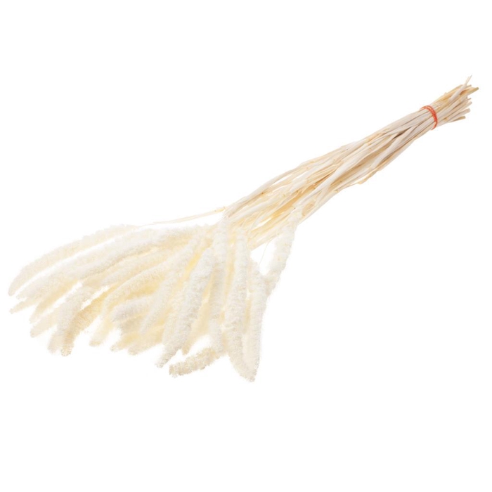 <h4>Setarea Bleached White</h4>