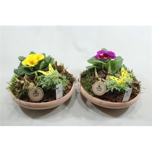 3813 T.C LAAG TUINTJE