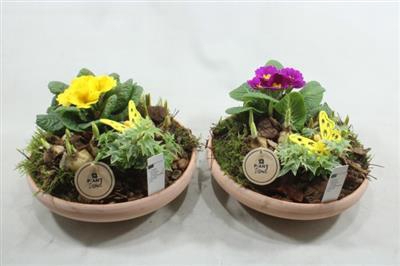 <h4>3813 T.C LAAG TUINTJE</h4>