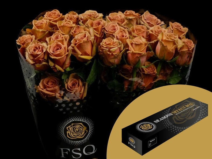 <h4>R GR Toffee Box</h4>