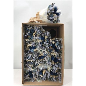 Dr Bqt Dried Fantasy Blue Naturale