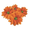 CRISANTEMO DARK ORANGE REAGAN 080 CM
