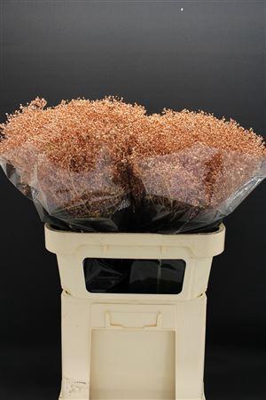 <h4>Gyps Fijn Koper</h4>