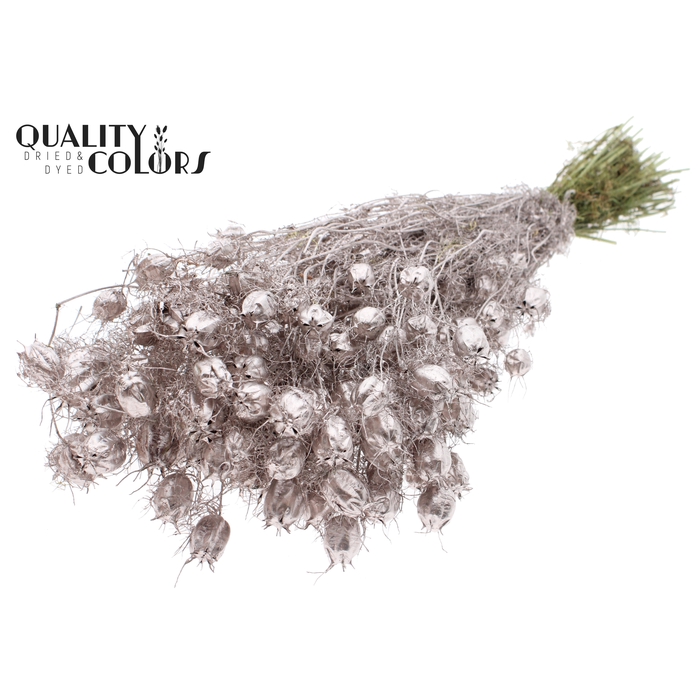 <h4>Nigella per bunch Champagne</h4>