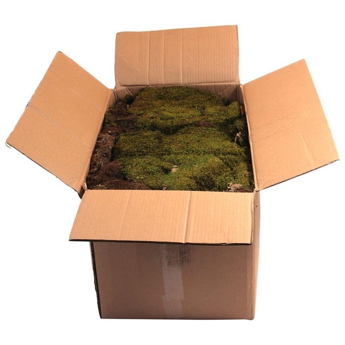 <h4>Platmos Droog</h4>