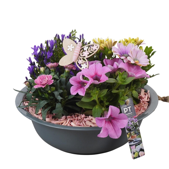 <h4>PTPP6840 Arrangement Patio in metalen schaal</h4>