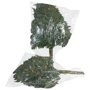 Lederv. Large Vacuum