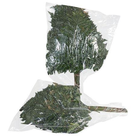 <h4>Lederv. Large Vacuum</h4>