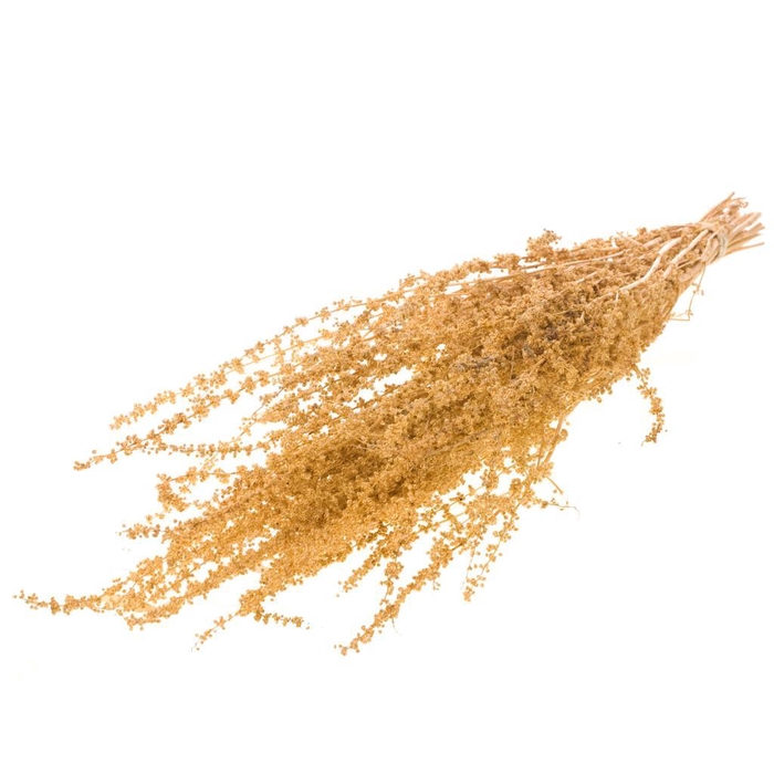 <h4>Palak Stick Bleached White</h4>