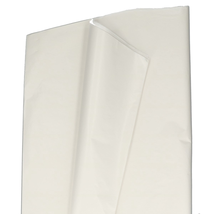 <h4>Papier Vel Witkraft 62*85cm afg</h4>