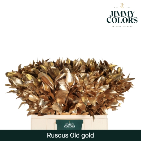 <h4>Ruscus L50 Mtlc. Antiek Goud</h4>