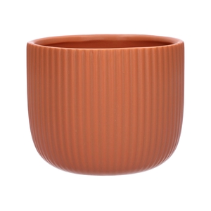 DF03-710288647 - Pot Haley d14xh11.5 terra matt